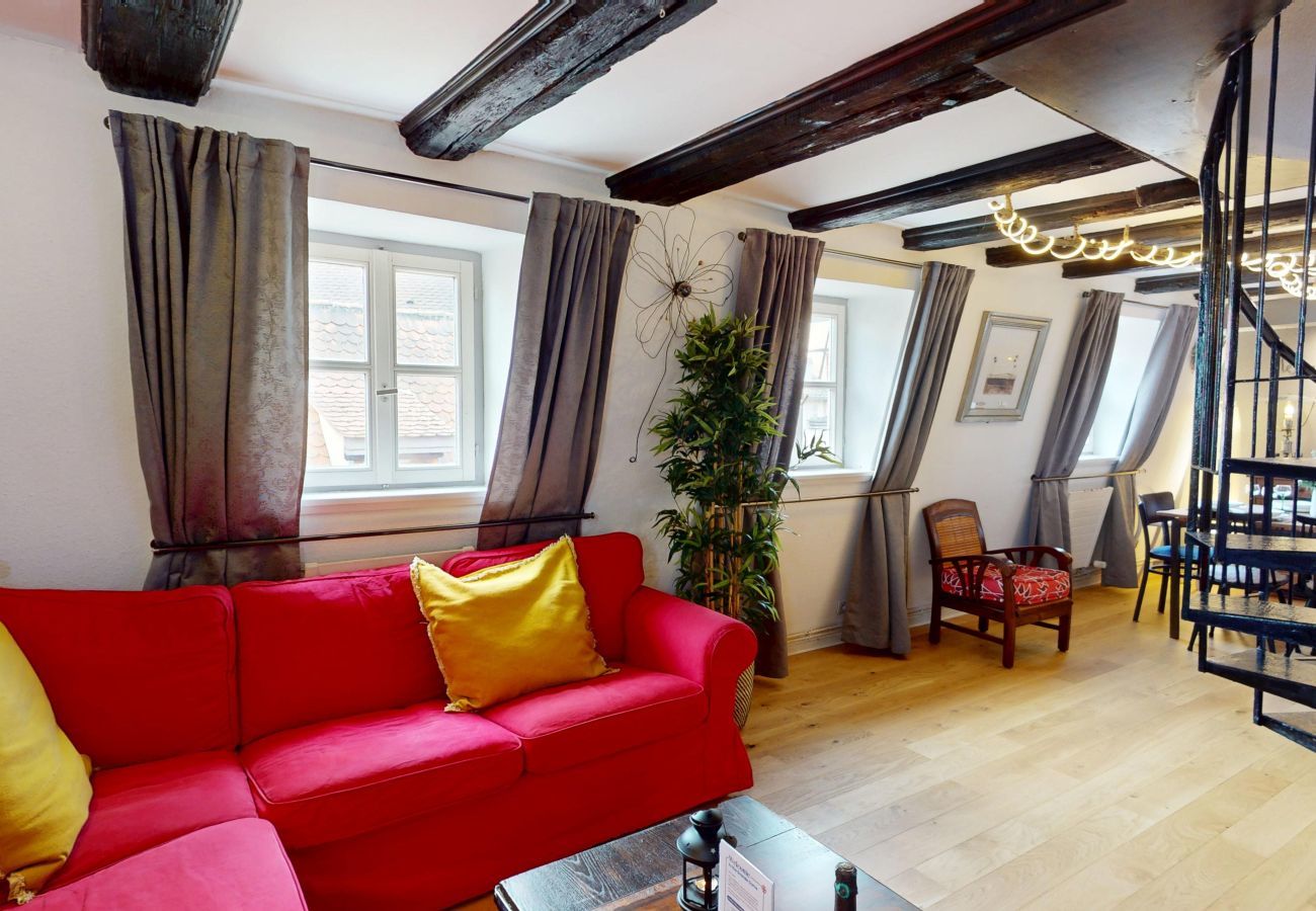 Apartment in Colmar - La Grande Ourse