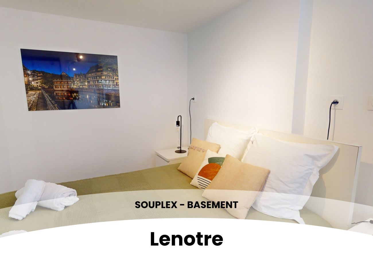 Apartment in Strasbourg - Souplex Lenotre Terrasse Proche Parlement