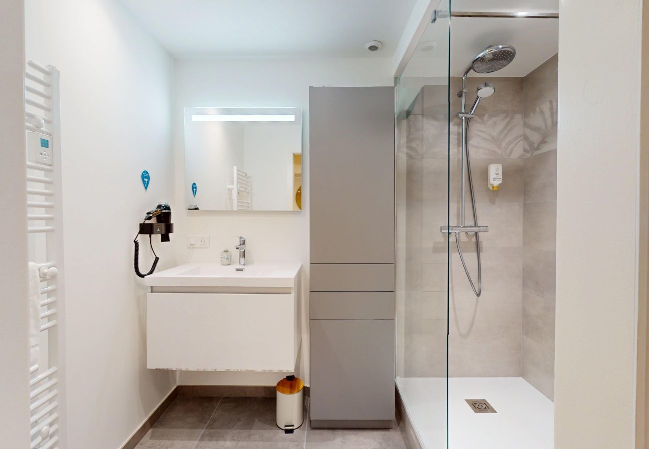 Apartment in Strasbourg - Le Pignon 2ch 2 sdb
