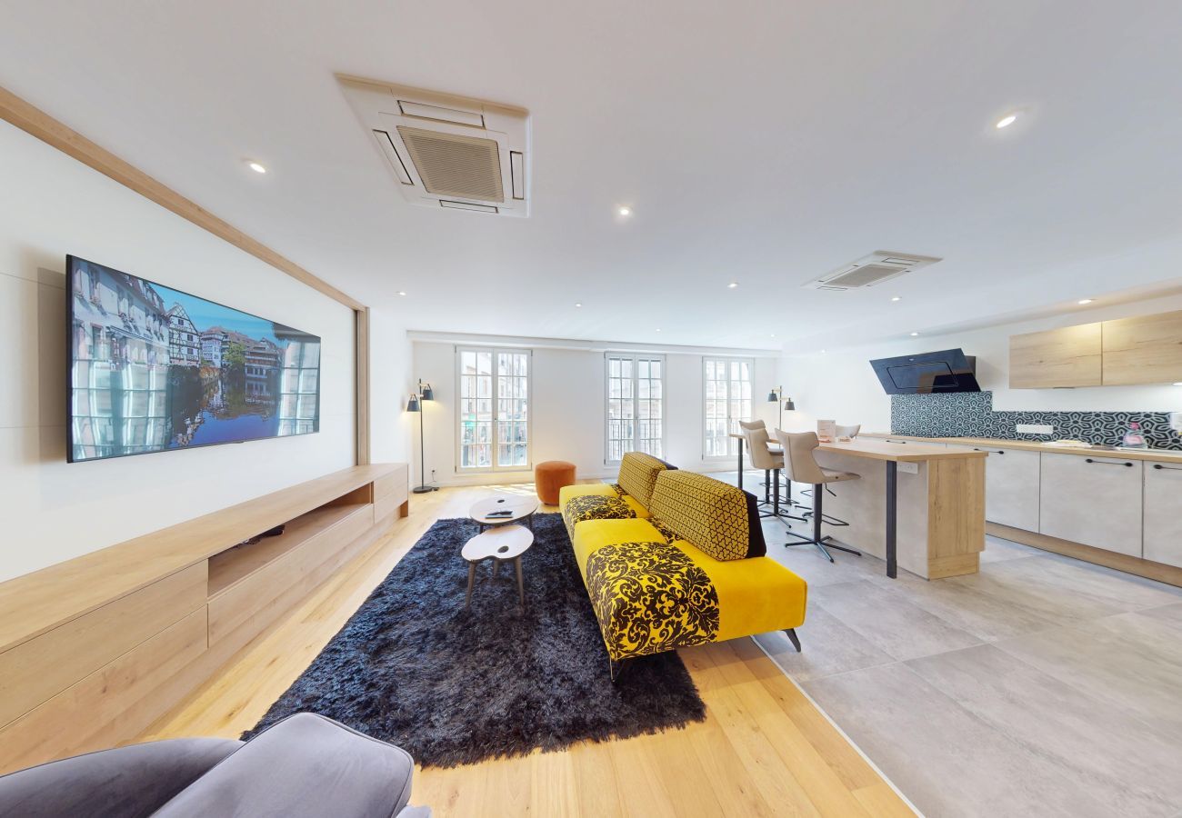 Apartment in Strasbourg - Le Pignon 2ch 2 sdb