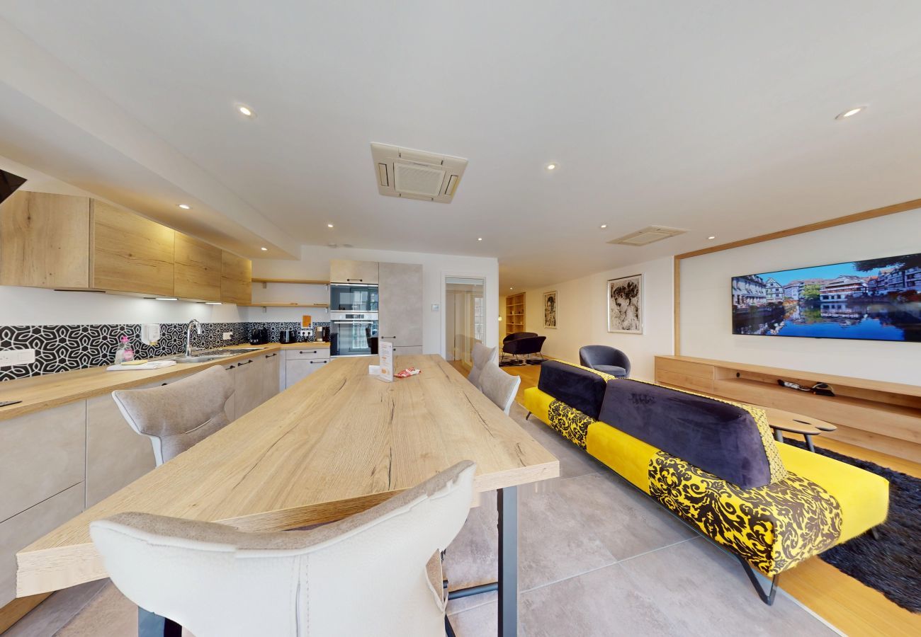 Apartment in Strasbourg - Le Pignon 2ch 2 sdb