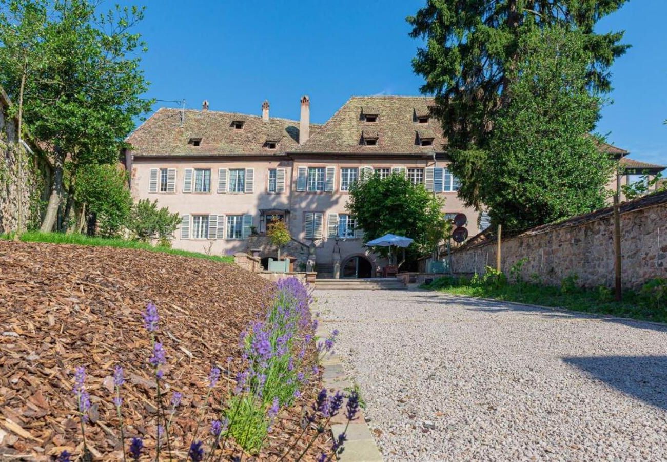 Apartment in Andlau - Jardin de l'Abbaye, demeure de charme