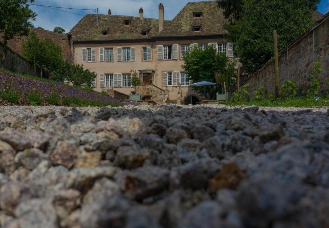 Apartment in Andlau - Jardin de l'Abbaye, demeure de charme
