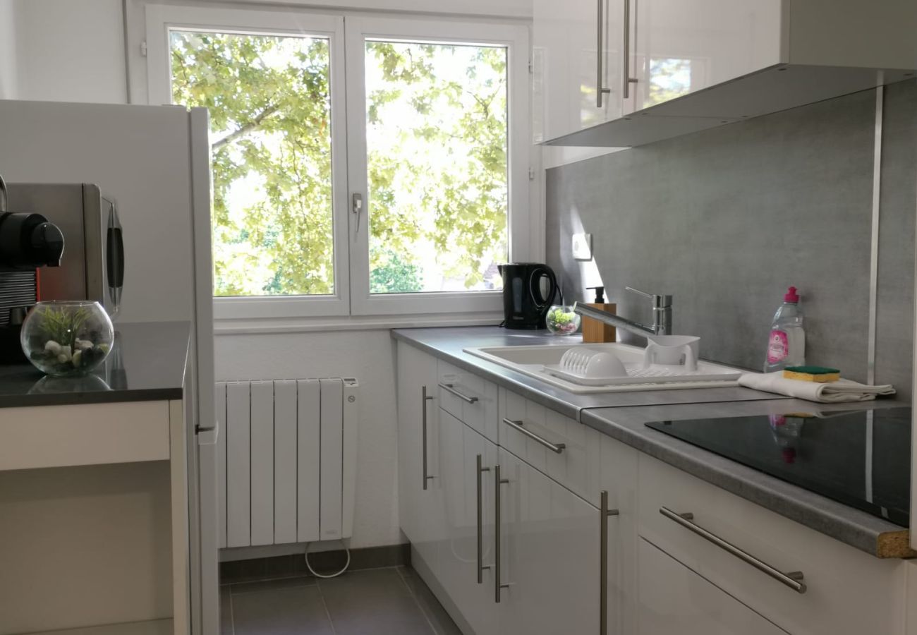 Apartment in Colmar - Edenhome + 1 parking