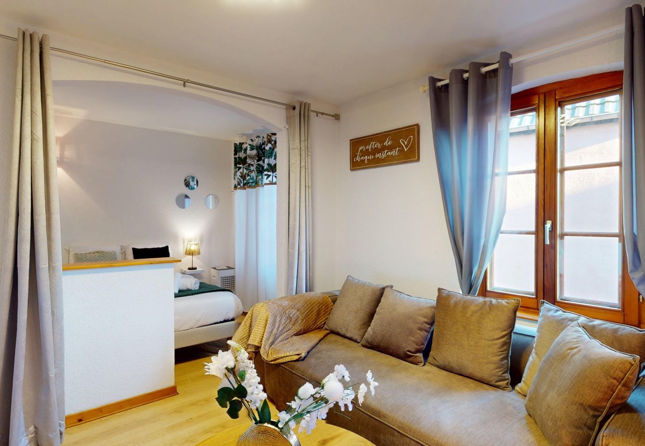 Apartment in Saint-Hippolyte - Au pied du haut Koenigsbourg 2