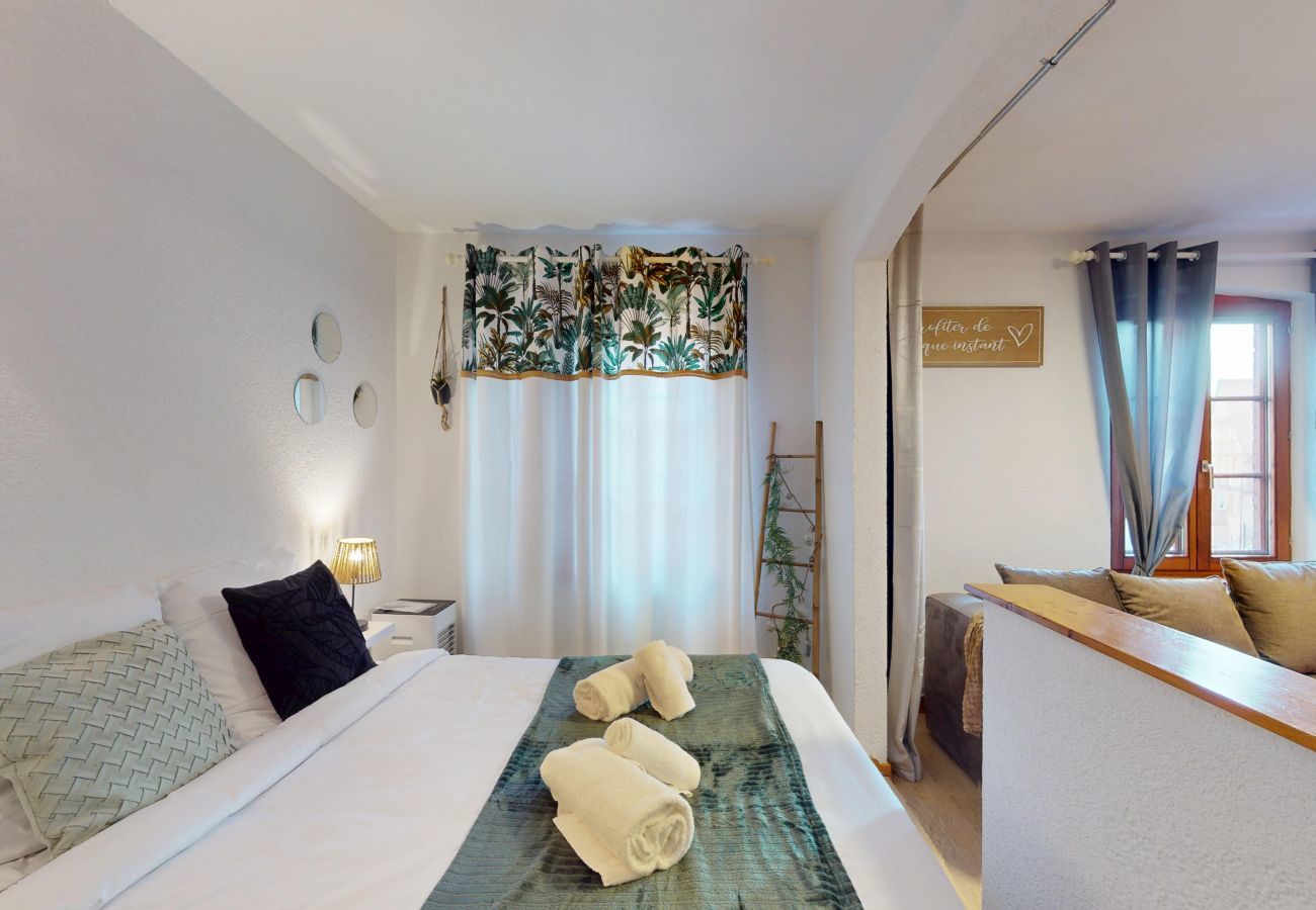 Apartment in Saint-Hippolyte - Au pied du haut Koenigsbourg 2