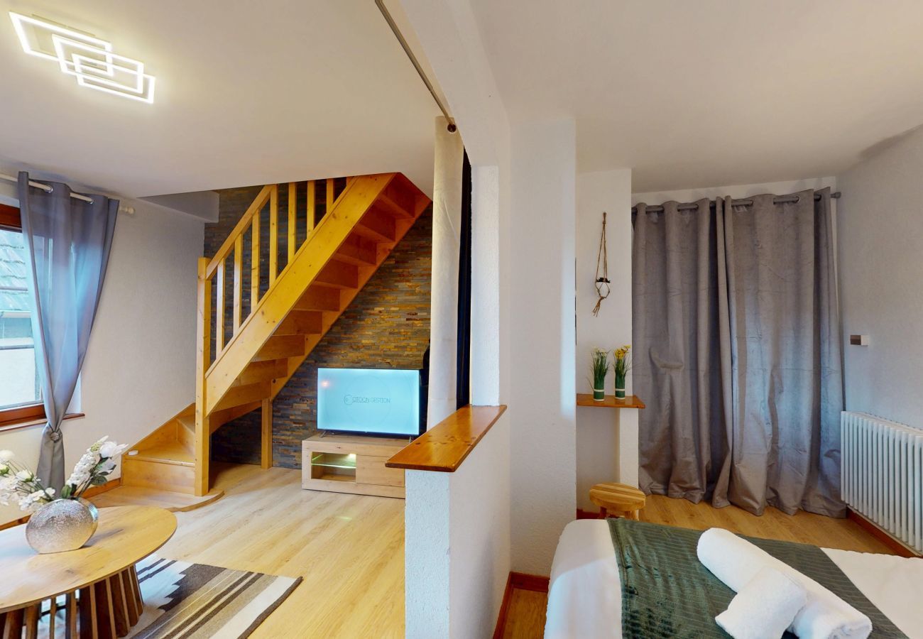 Apartment in Saint-Hippolyte - Au pied du haut Koenigsbourg 2