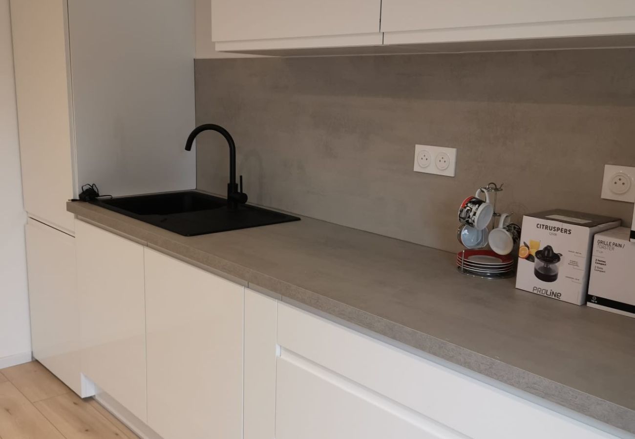 Apartment in Colmar - Nid de la Luss