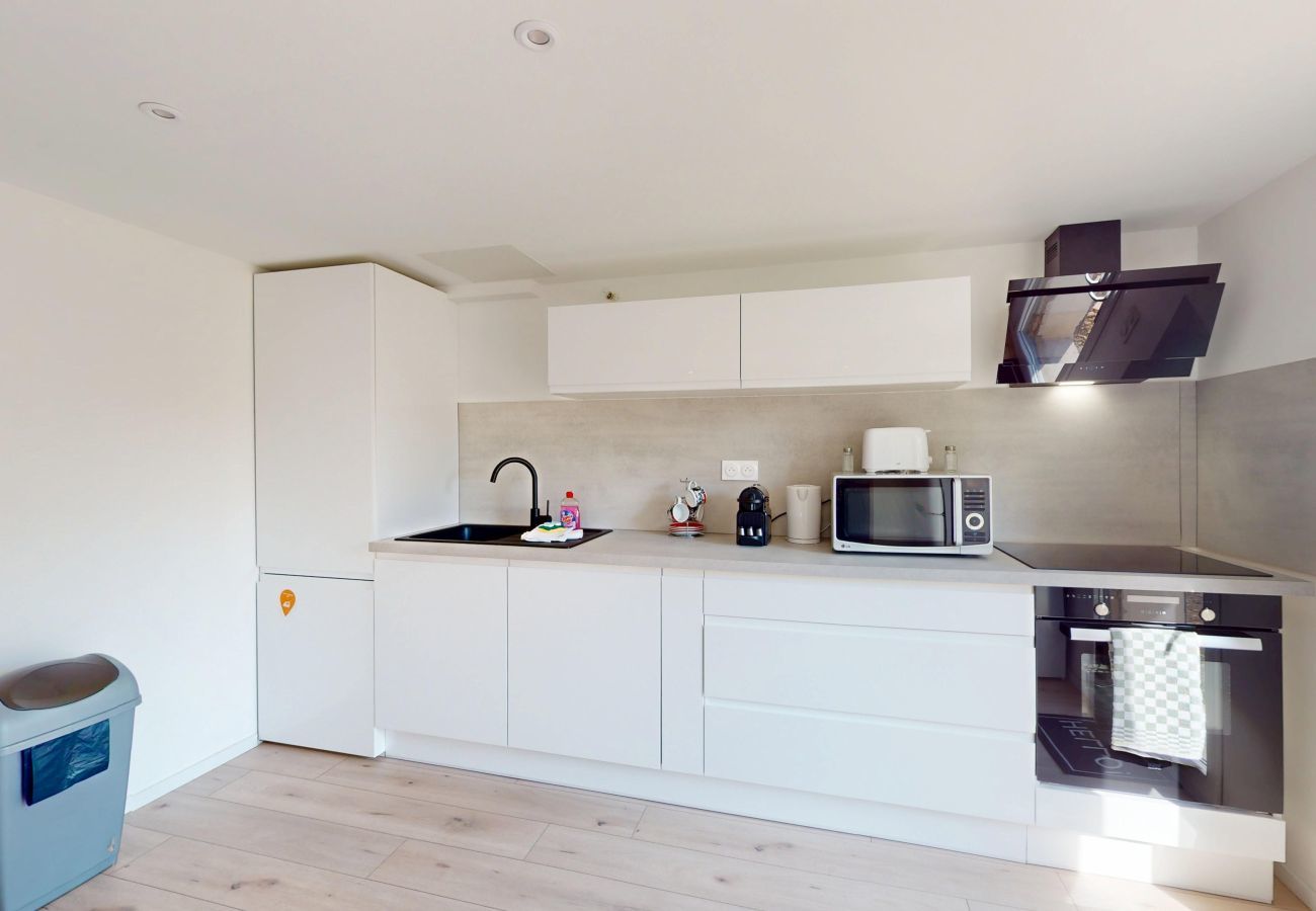 Apartment in Colmar - Nid de la Luss avec parking