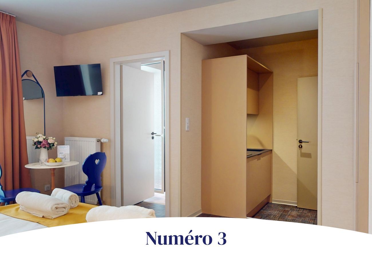 Studio in Colmar - Studio Numéro 3 - Résidence Champ de Mars