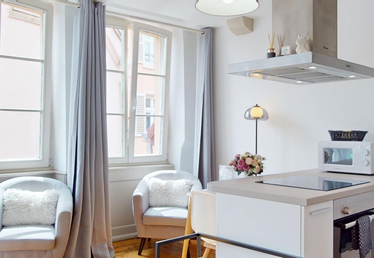 Studio in Colmar - Les gîtes d'Elouise 2