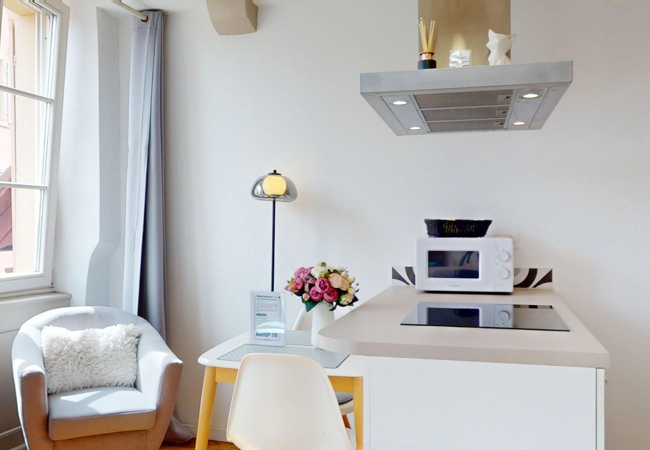 Studio in Colmar - Les gîtes d'Elouise 2