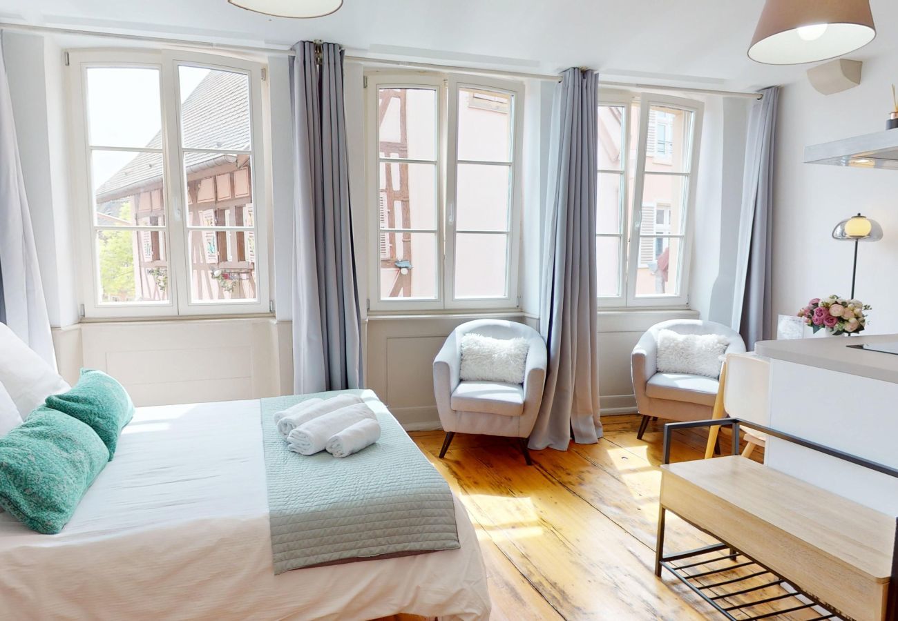 Studio in Colmar - Les gîtes d'Elouise 2