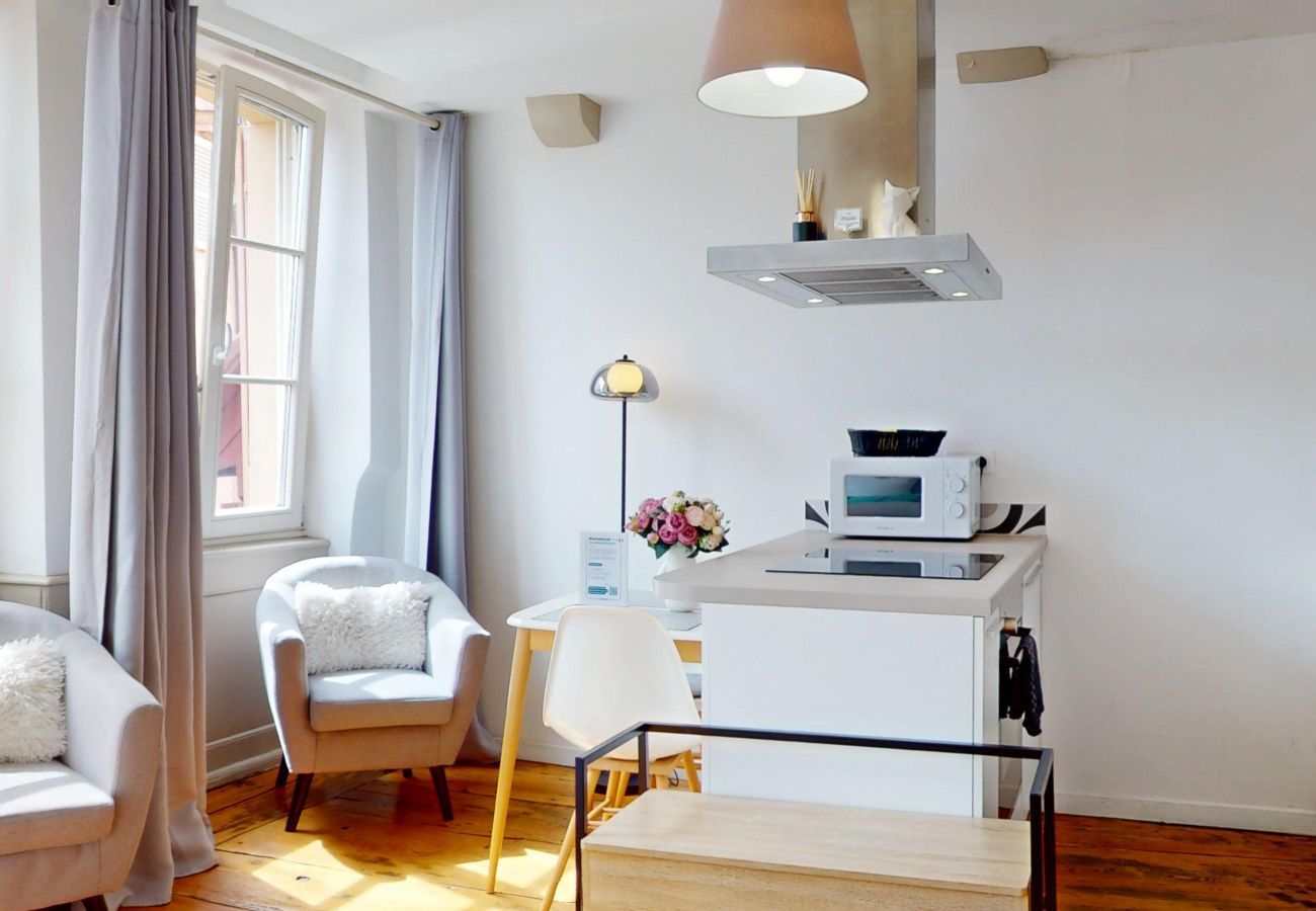 Studio in Colmar - Les gîtes d'Elouise 2