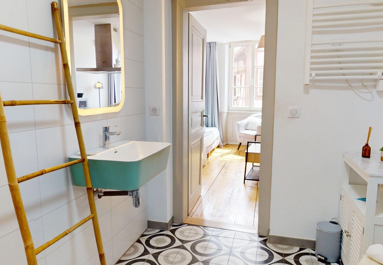 Studio in Colmar - Les gîtes d'Elouise 2
