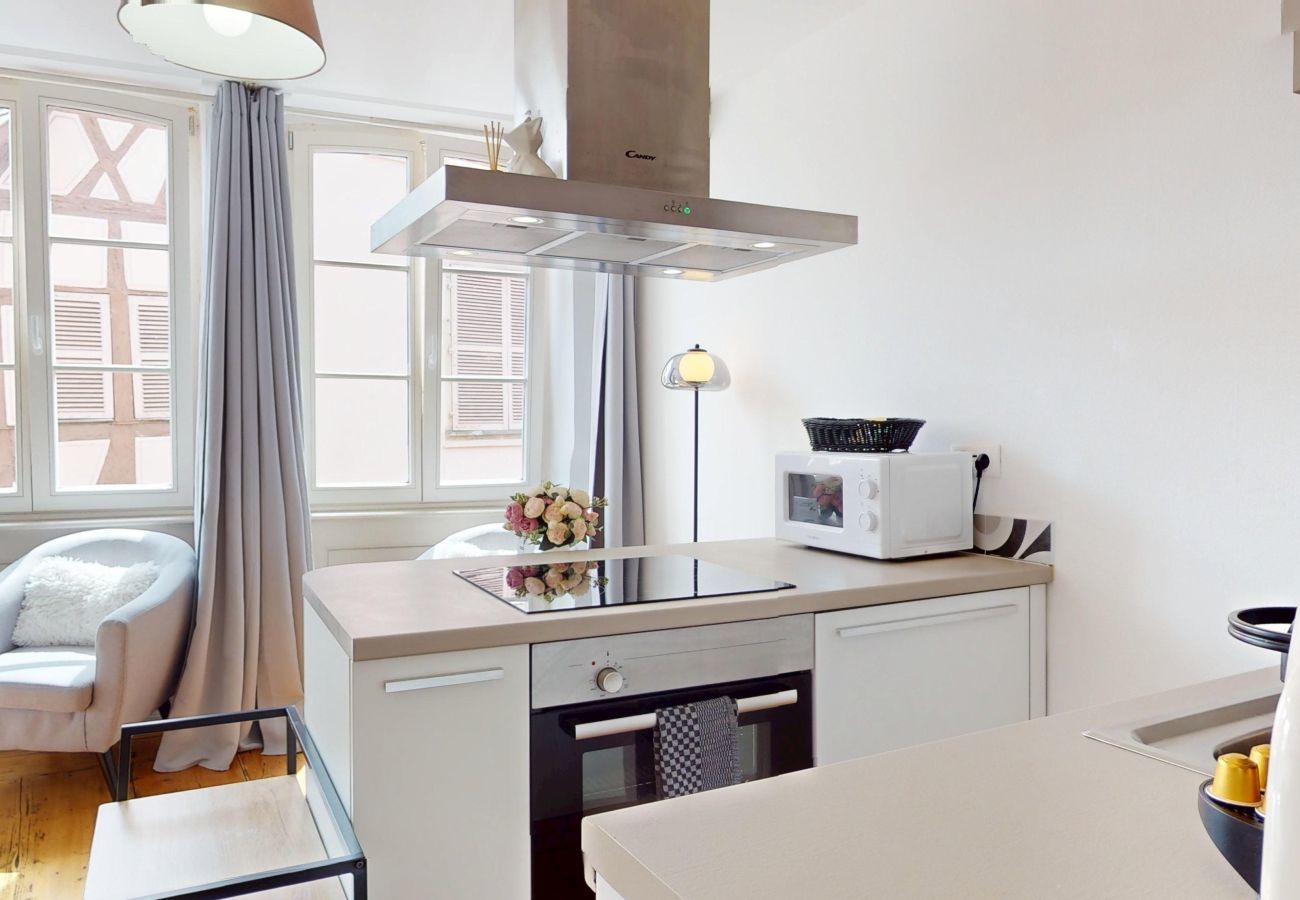 Studio in Colmar - Les gîtes d'Elouise 2
