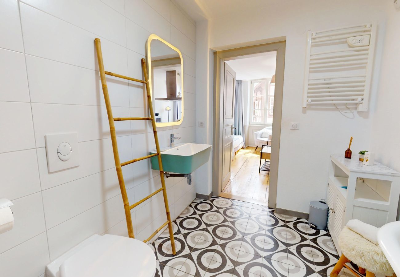 Studio in Colmar - Les gîtes d'Elouise 2