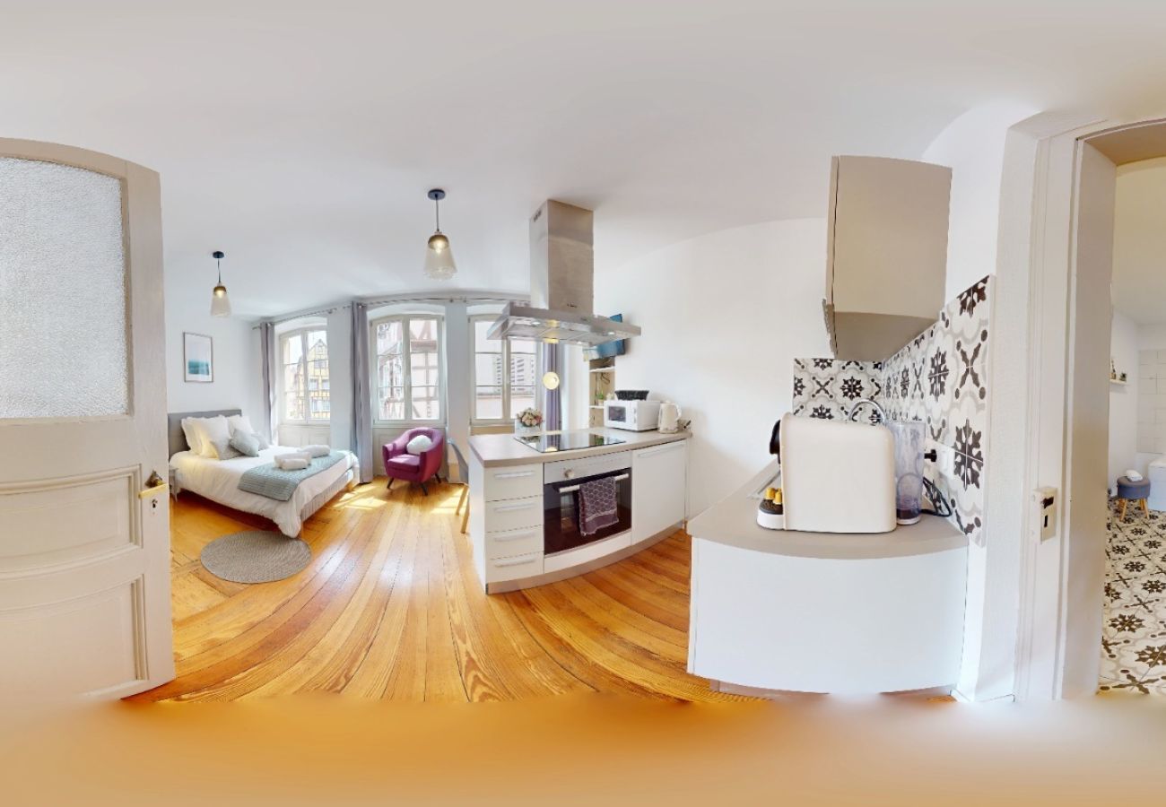 Studio in Colmar - Les gîtes d'Elouise 1