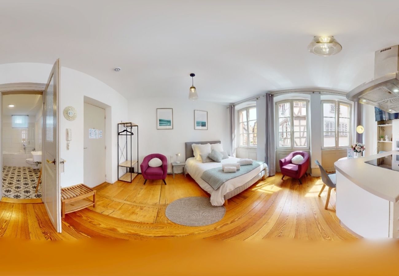 Studio in Colmar - Les gîtes d'Elouise 1