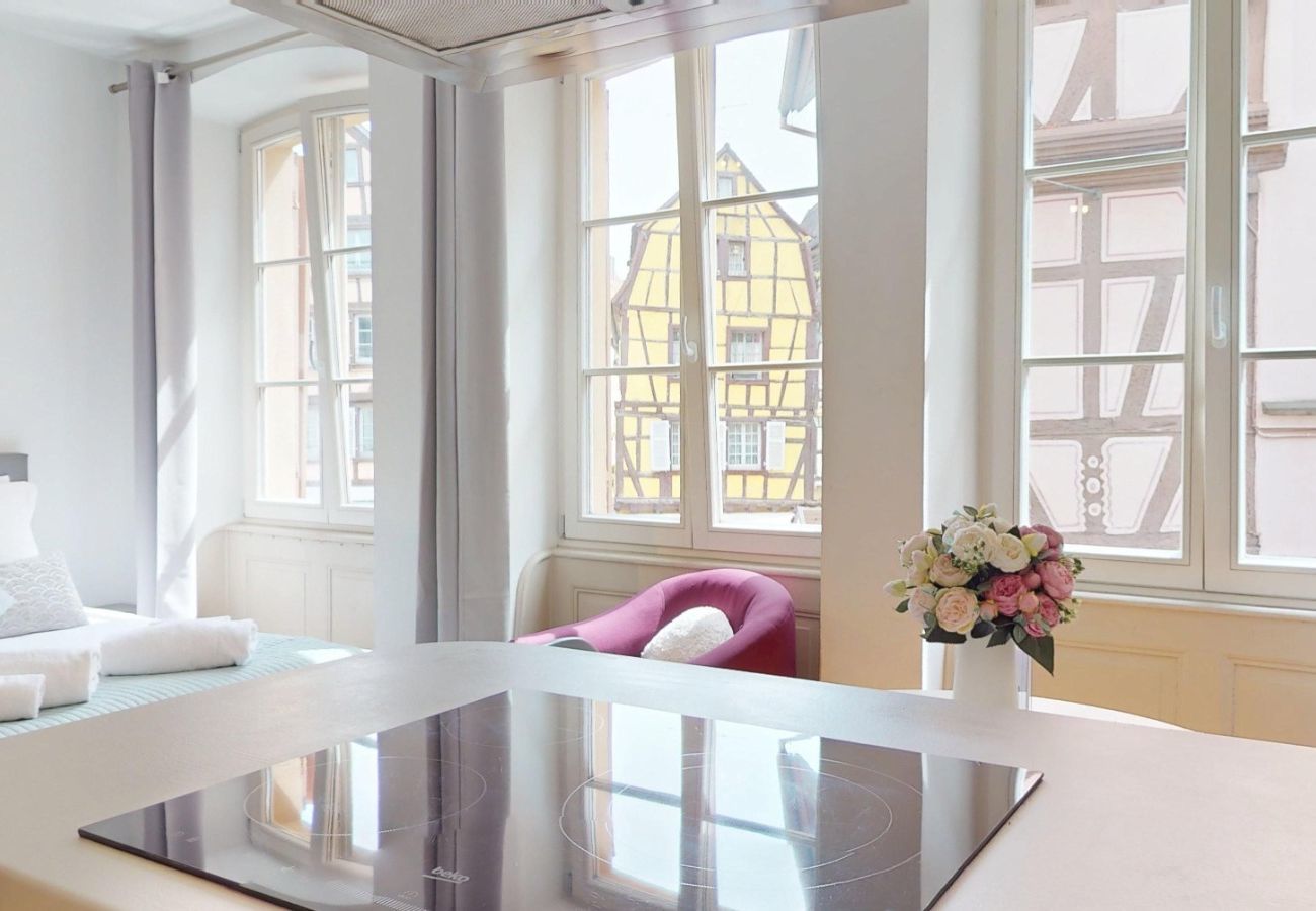 Studio in Colmar - Les gîtes d'Elouise 1