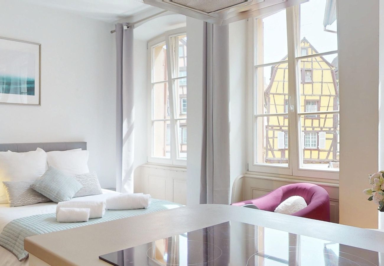 Studio in Colmar - Les gîtes d'Elouise 1
