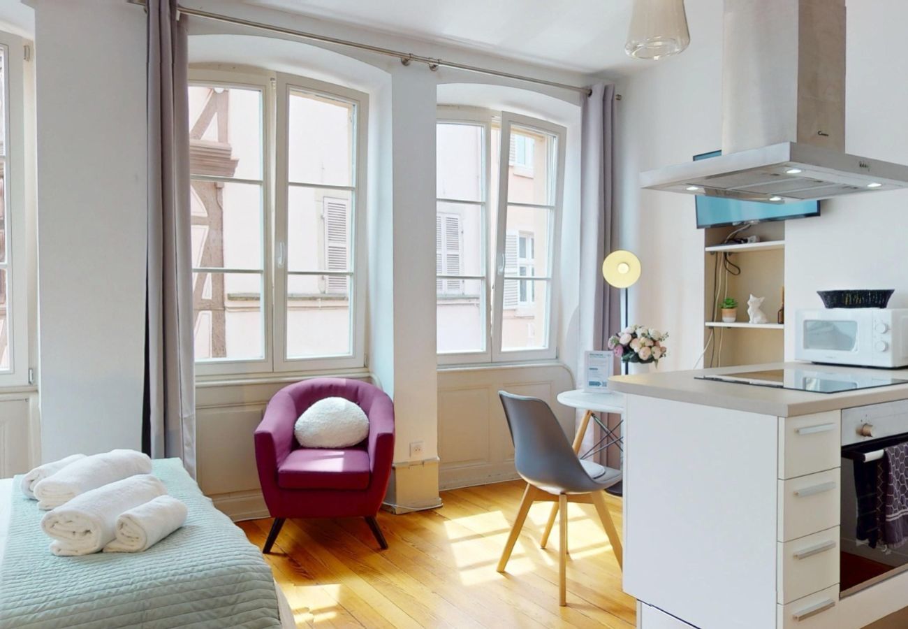 Studio in Colmar - Les gîtes d'Elouise 1