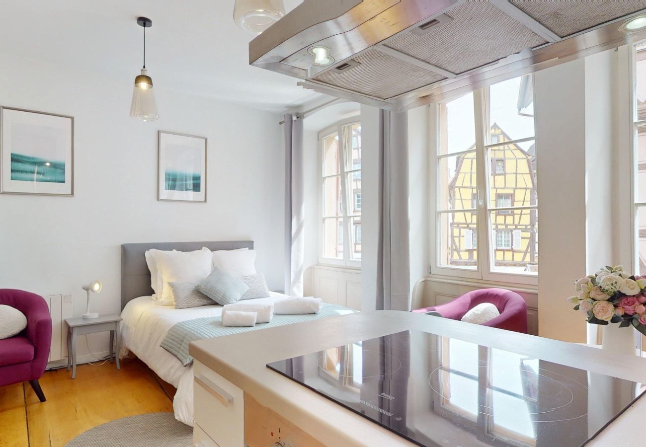Studio in Colmar - Les gîtes d'Elouise 1