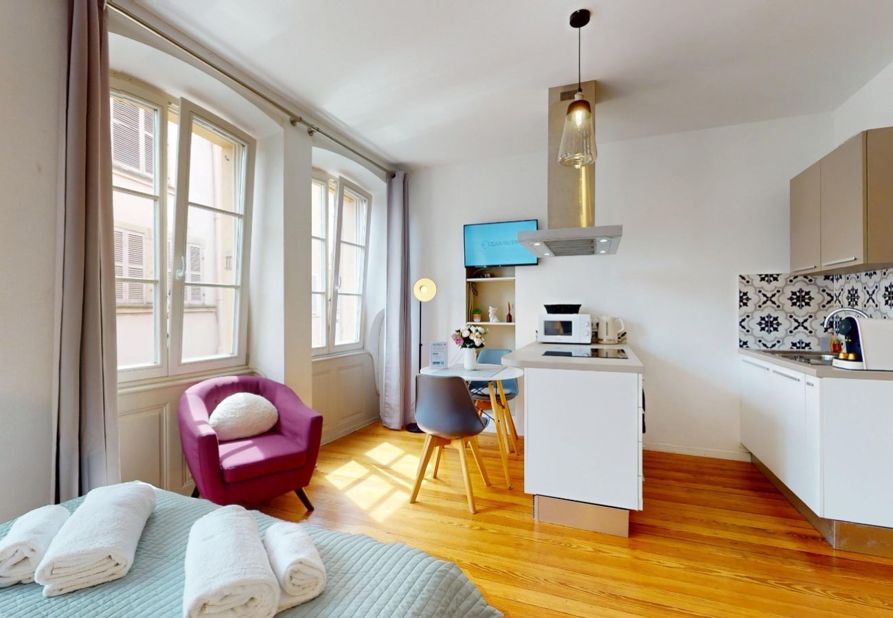 Studio in Colmar - Les gîtes d'Elouise 1