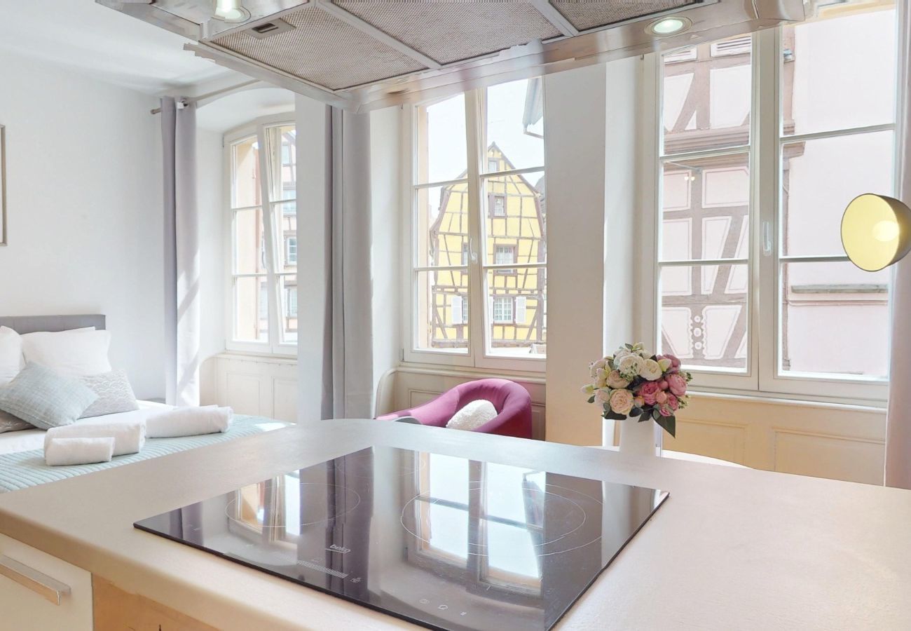 Studio in Colmar - Les gîtes d'Elouise 1