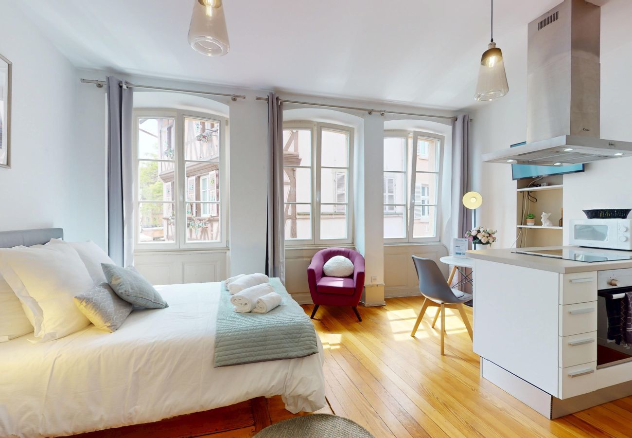 Studio in Colmar - Les gîtes d'Elouise 1