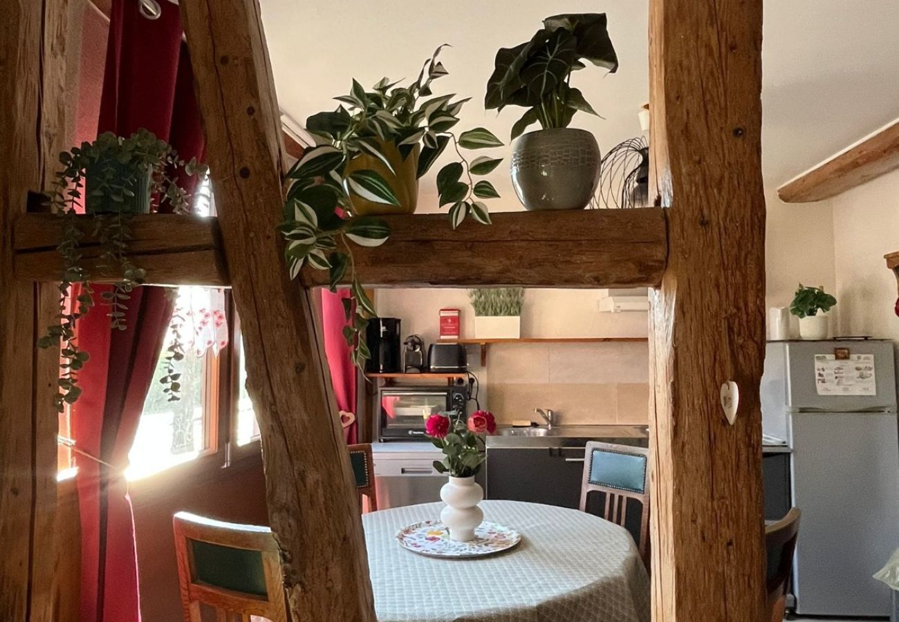 Apartment in Eguisheim - Le petit Schatz