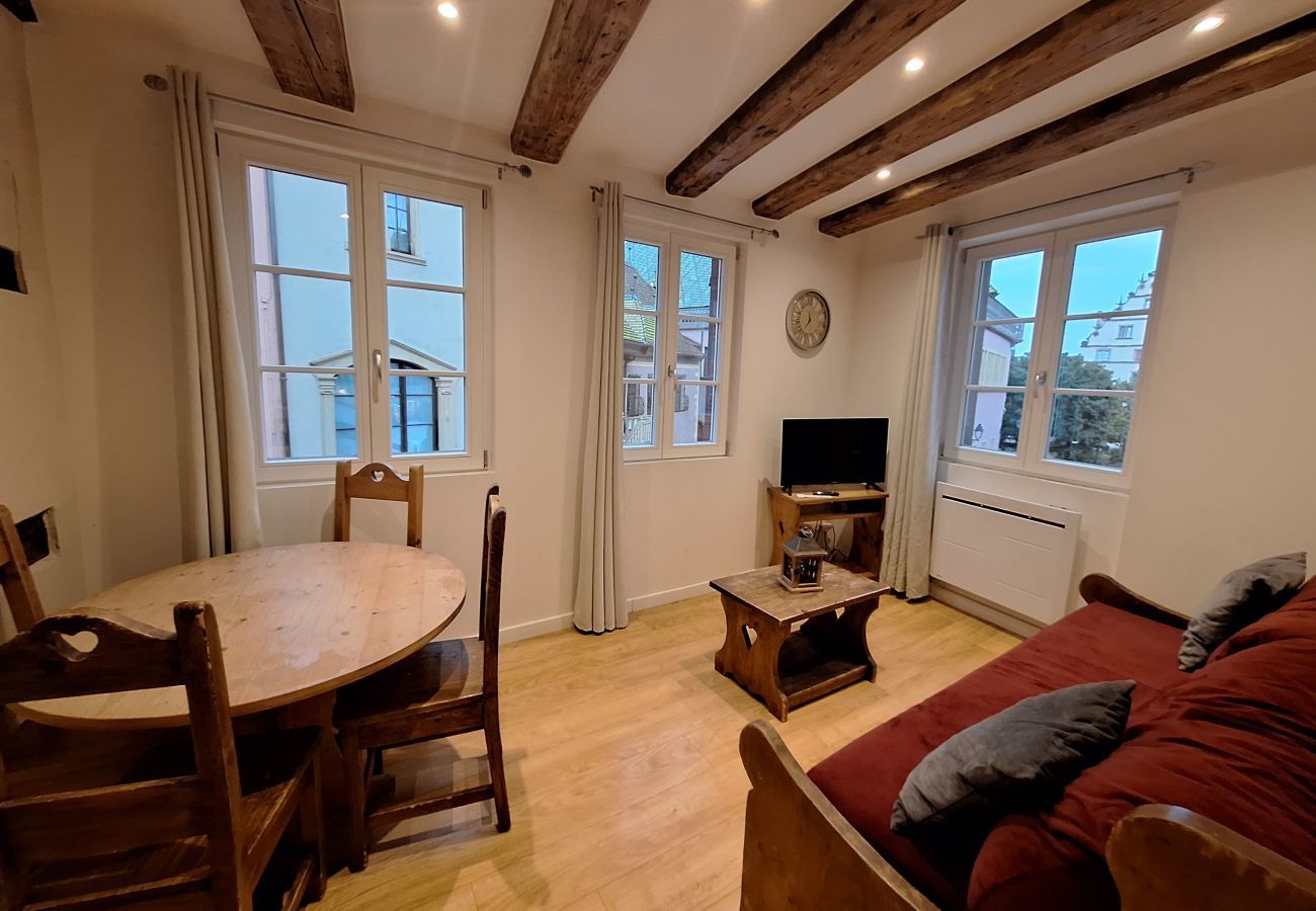 Apartment in Colmar - Koifhus 2