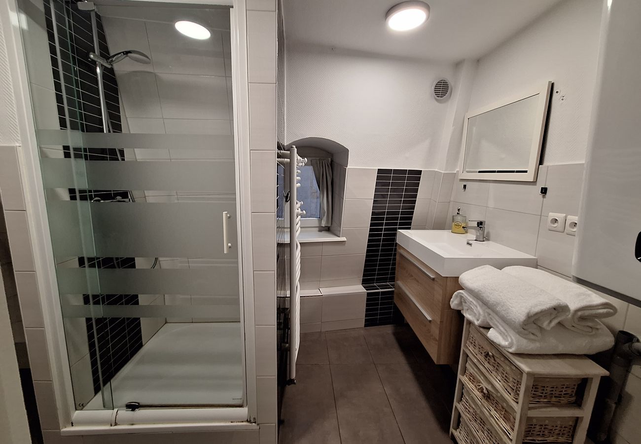 Apartment in Colmar - Koifhus 4