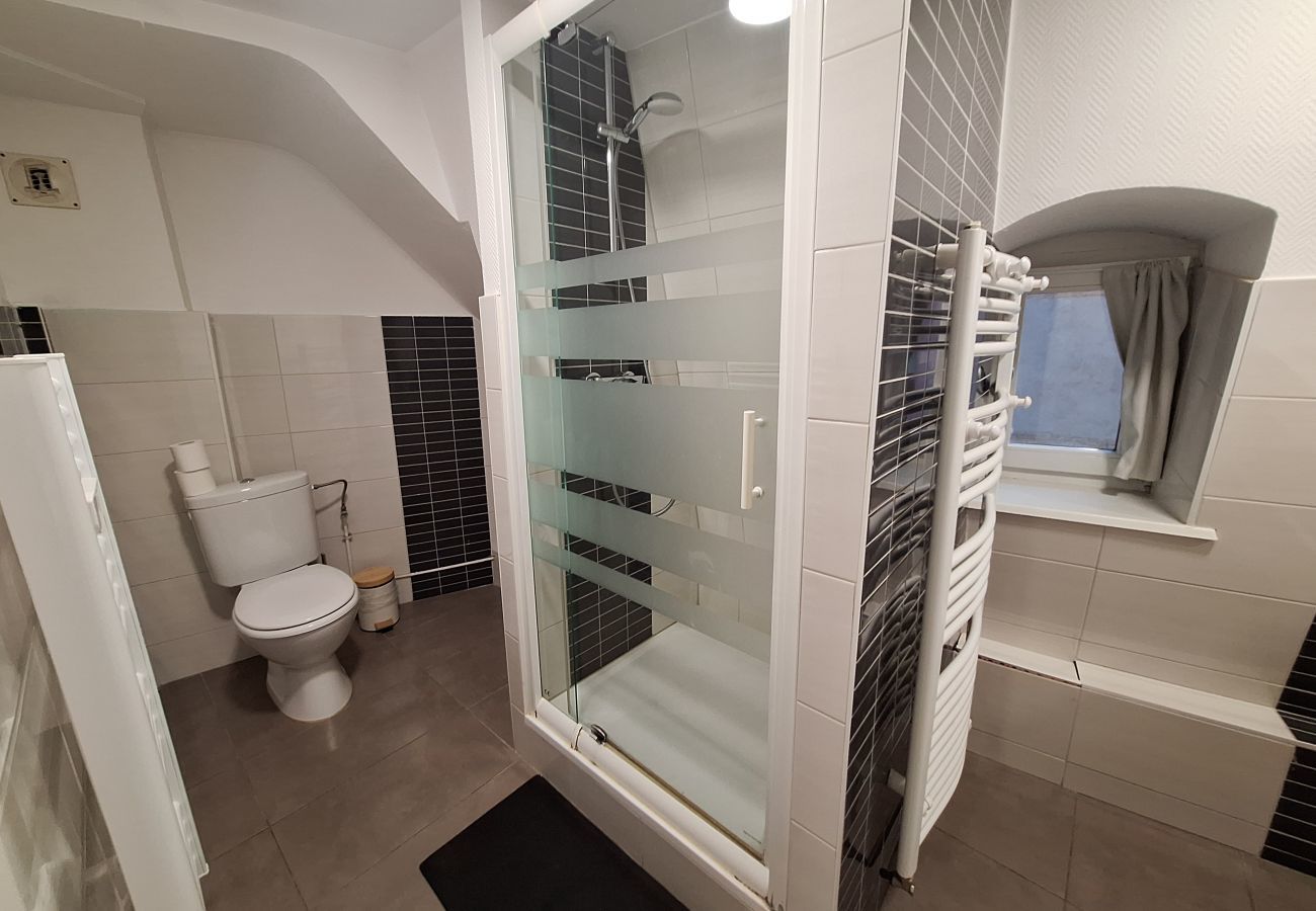 Apartment in Colmar - Koifhus 4