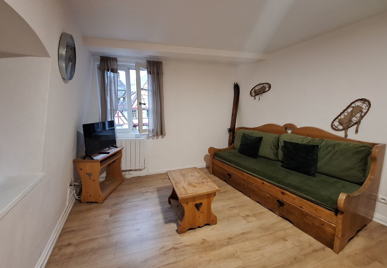 Apartment in Colmar - Koifhus 4