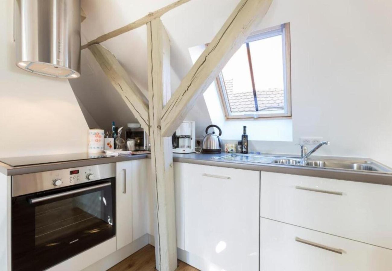 Apartment in Colmar - Saint Nicolas 4