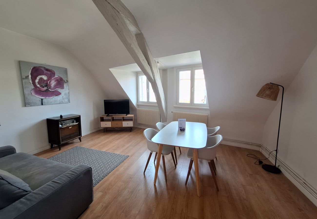 Apartment in Colmar - Home Petite Venise 3