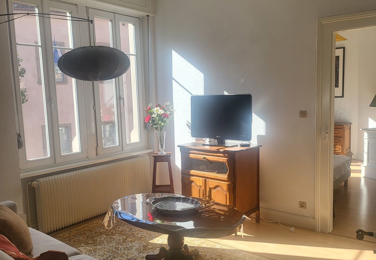 Apartment in Colmar - Au Buisson De Roses