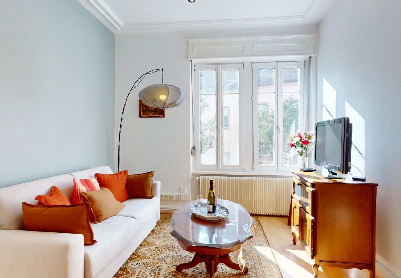 Apartment in Colmar - Au Buisson De Roses - confort et charme au centre