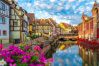 Estudio en Colmar - Berthe Molly Studio