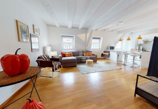 Apartamento en Colmar - wallach duplex ac 78m2 city center up to 6 Apartamento en Colmar - wallach duplex ac 78m2 city center up to 6