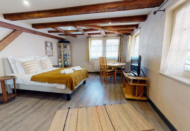 Estudio en Colmar - le rubis 1 free parking city center  up to 2 Estudio en Colmar - le rubis 1 free parking city center  up to 2