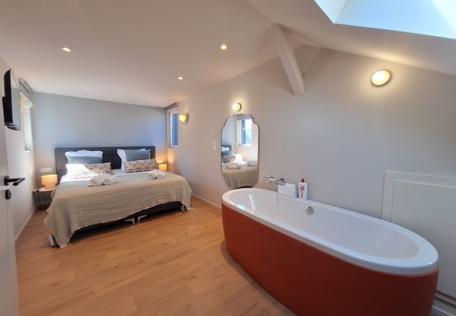 Apartamento en Colmar - L'Amiral appartement 1 chambre