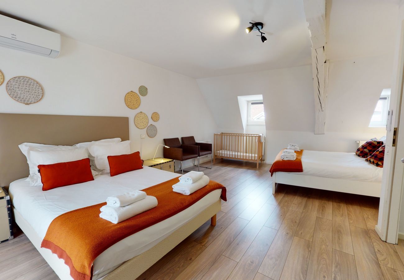 Apartamento en Colmar - wallach duplex ac 78m2 city center up to 6