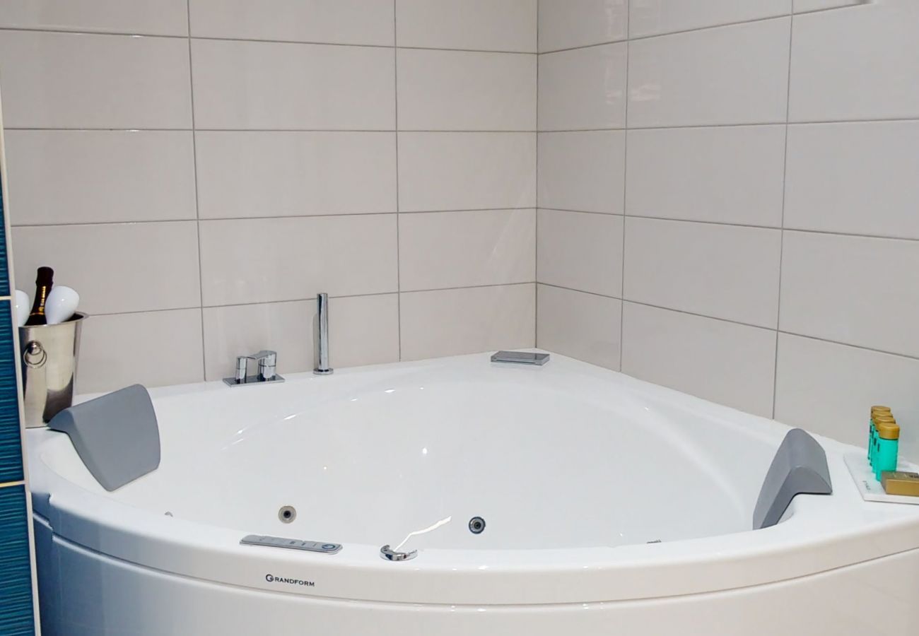 Apartamento en Colmar - hansi spa city center  up to 4