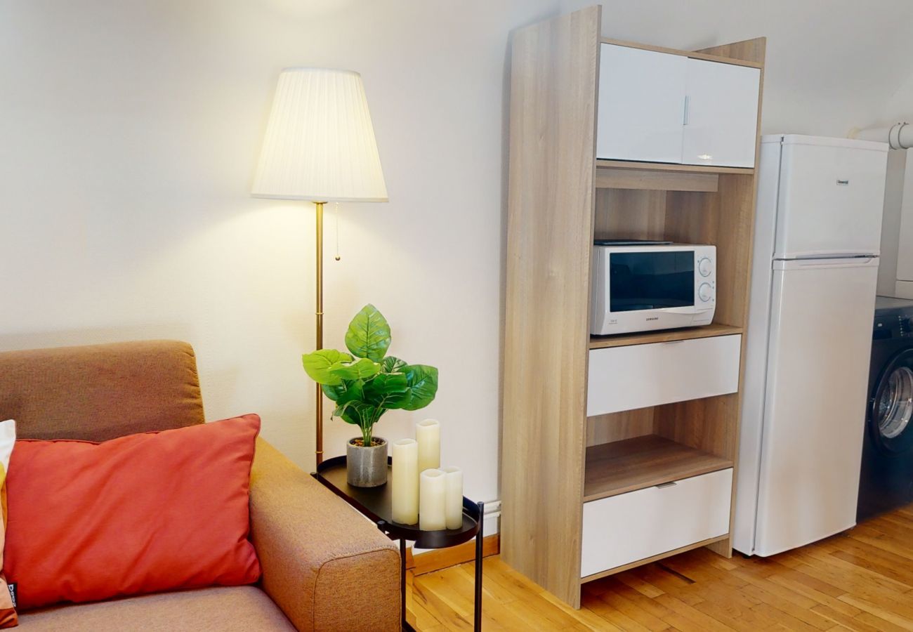 Apartamento en Colmar - hansi spa city center  up to 4