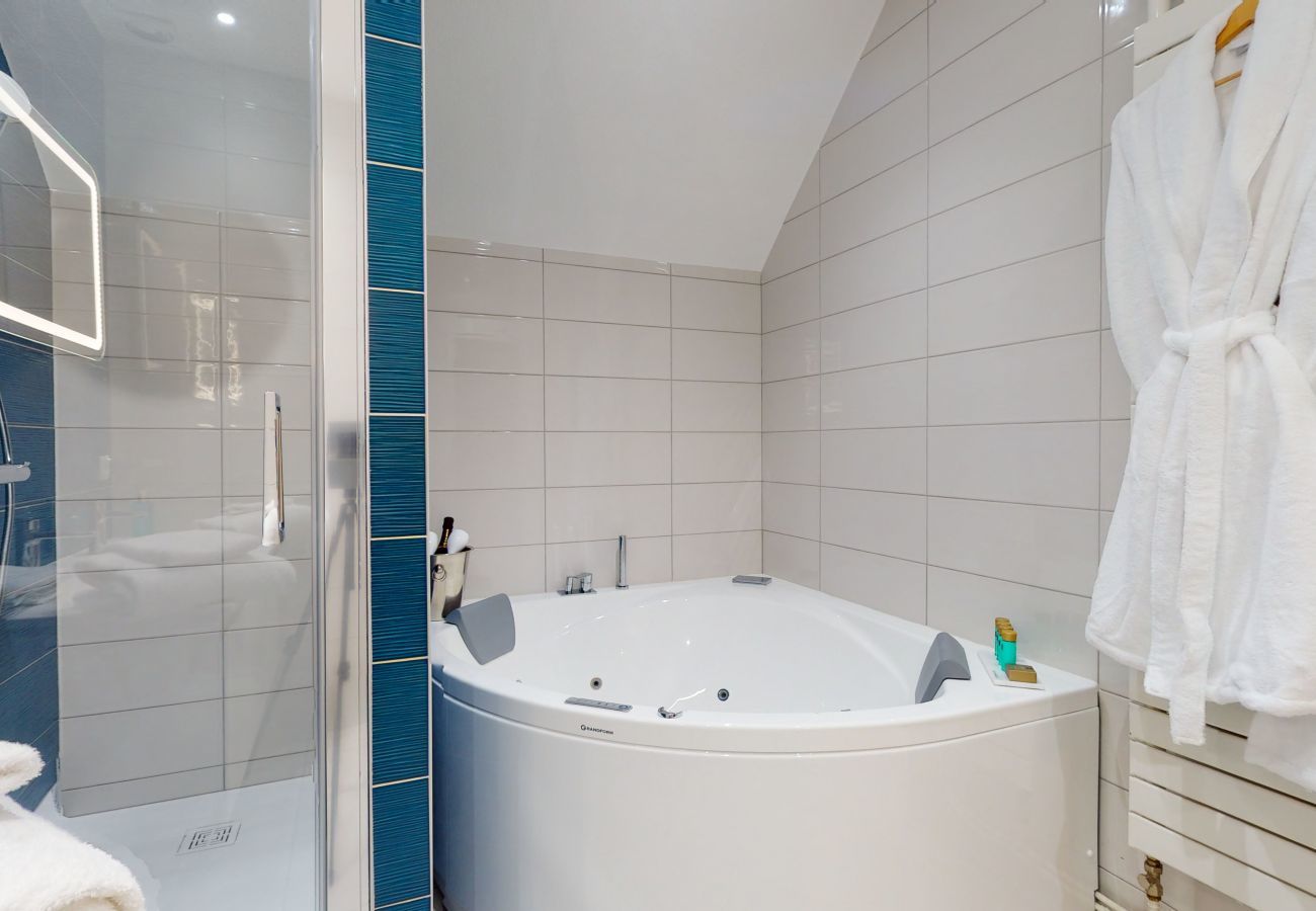 Apartamento en Colmar - hansi spa city center  up to 4