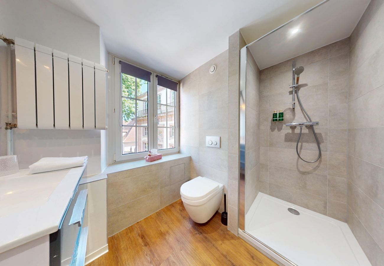 Estudio en Colmar - l appartement turenne with access to lounge