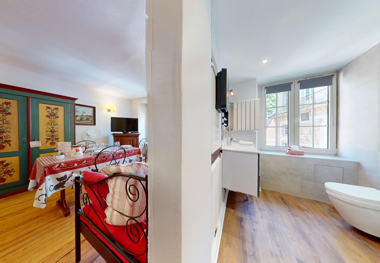 Estudio en Colmar - l appartement turenne with access to lounge