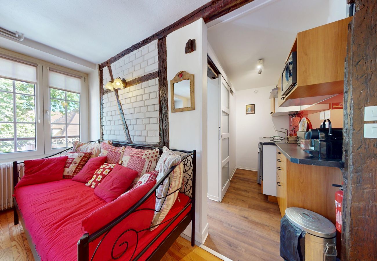 Estudio en Colmar - l appartement turenne with access to lounge